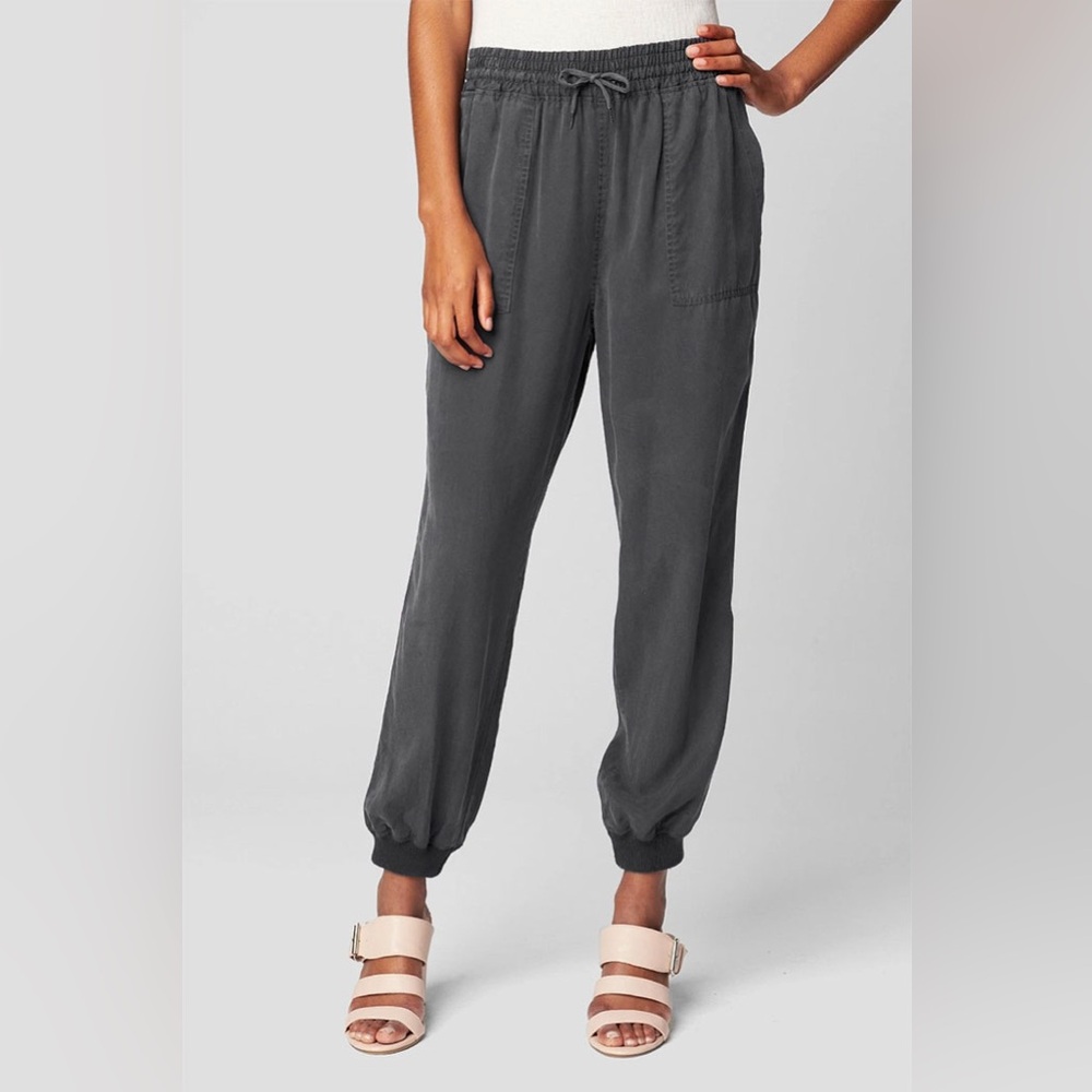 Blank NYC Blue Joggers size 30